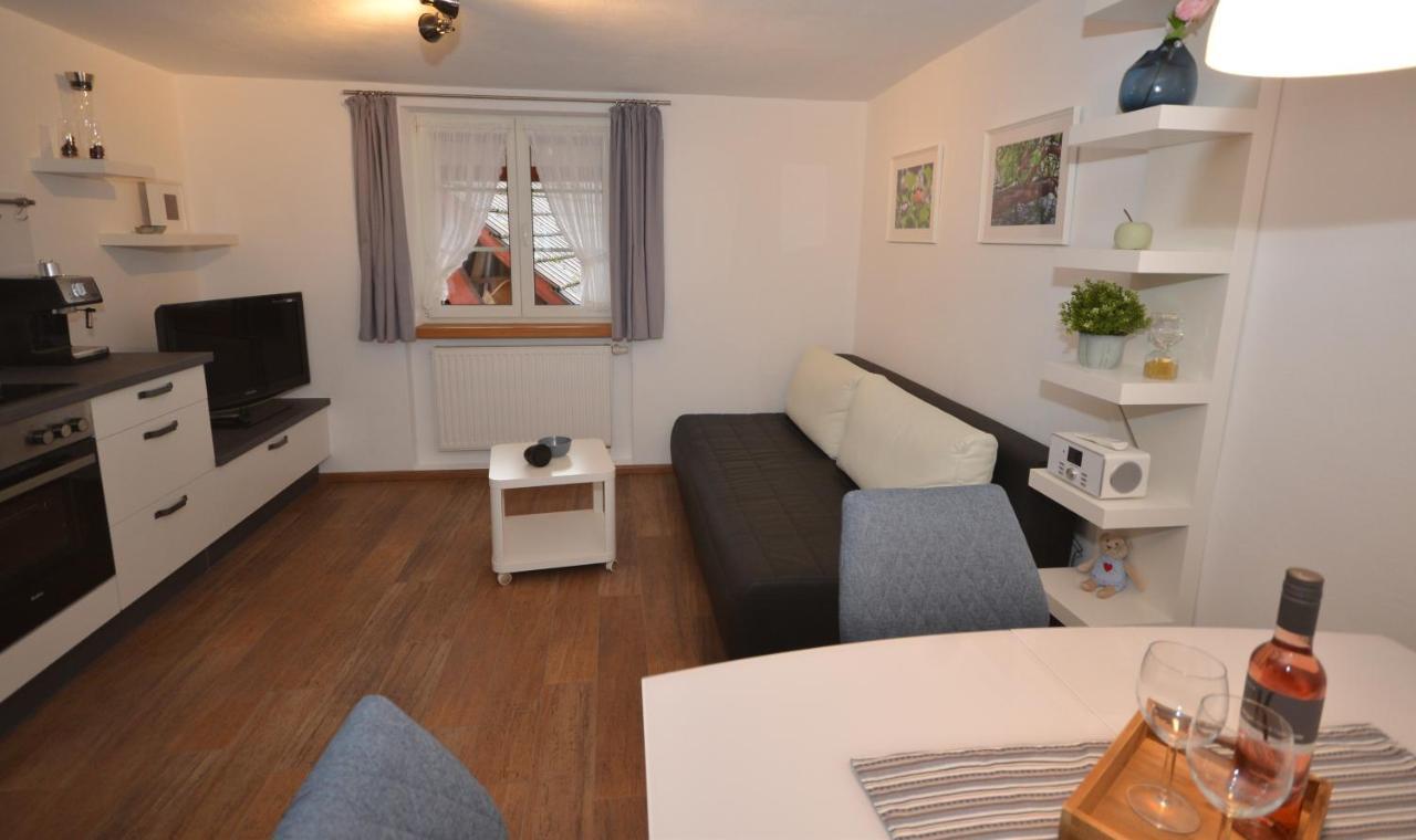 Ferienwohnung Traumschiff Erzingen Экстерьер фото